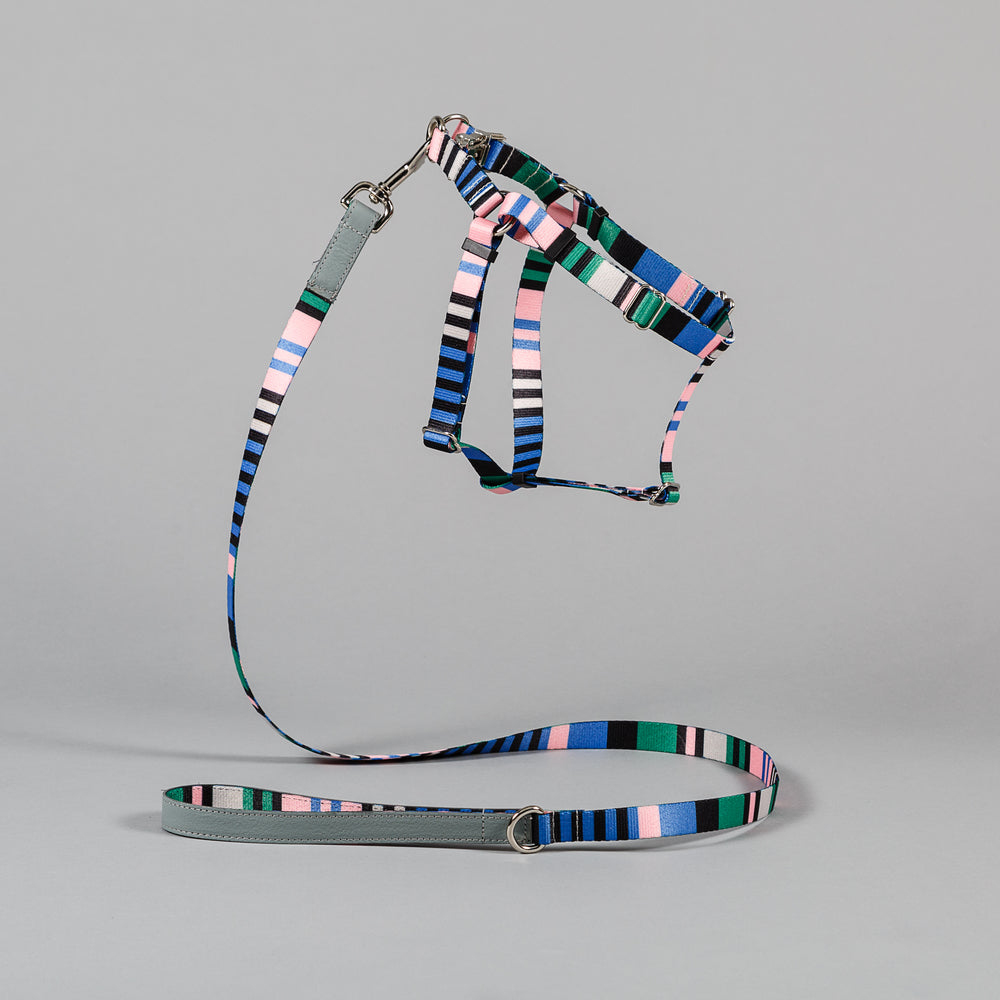 Ware of the Dog Blue Striped Webbing Harness