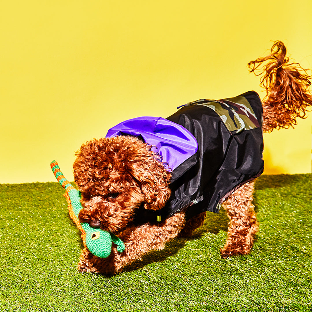 dog rain gear Black & Camo Anorak Raincoat, Dog Raincoats – Ware of the Dog