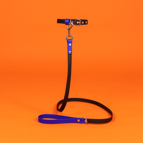 Black and Royal Blue Waterproof Dog Leash and Collar