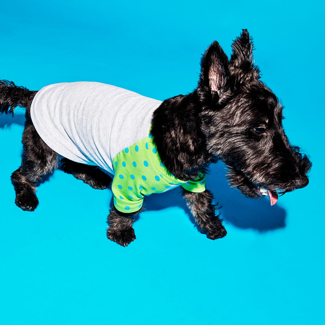 WARE OF THE DOG  犬服　セーター① 未着用¥12800 Ware of the Dog