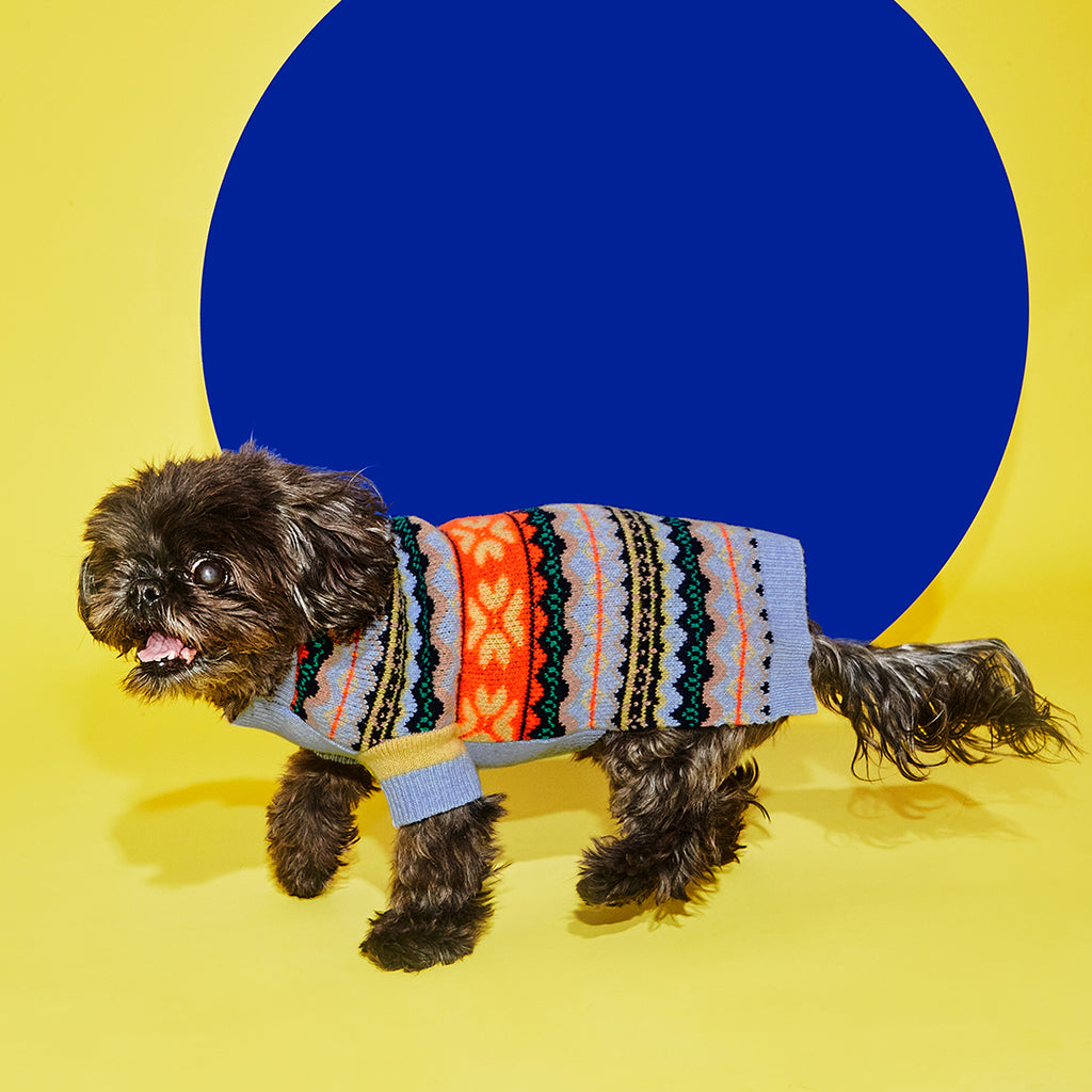 Dog wearing blue fairisle wool dog sweater