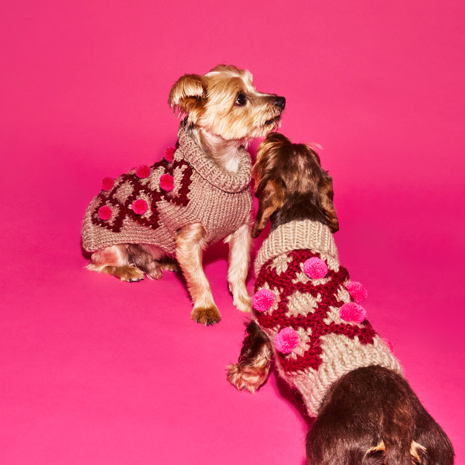 two dogs wearing burgandy and pink hand knit pom pom dog sweater