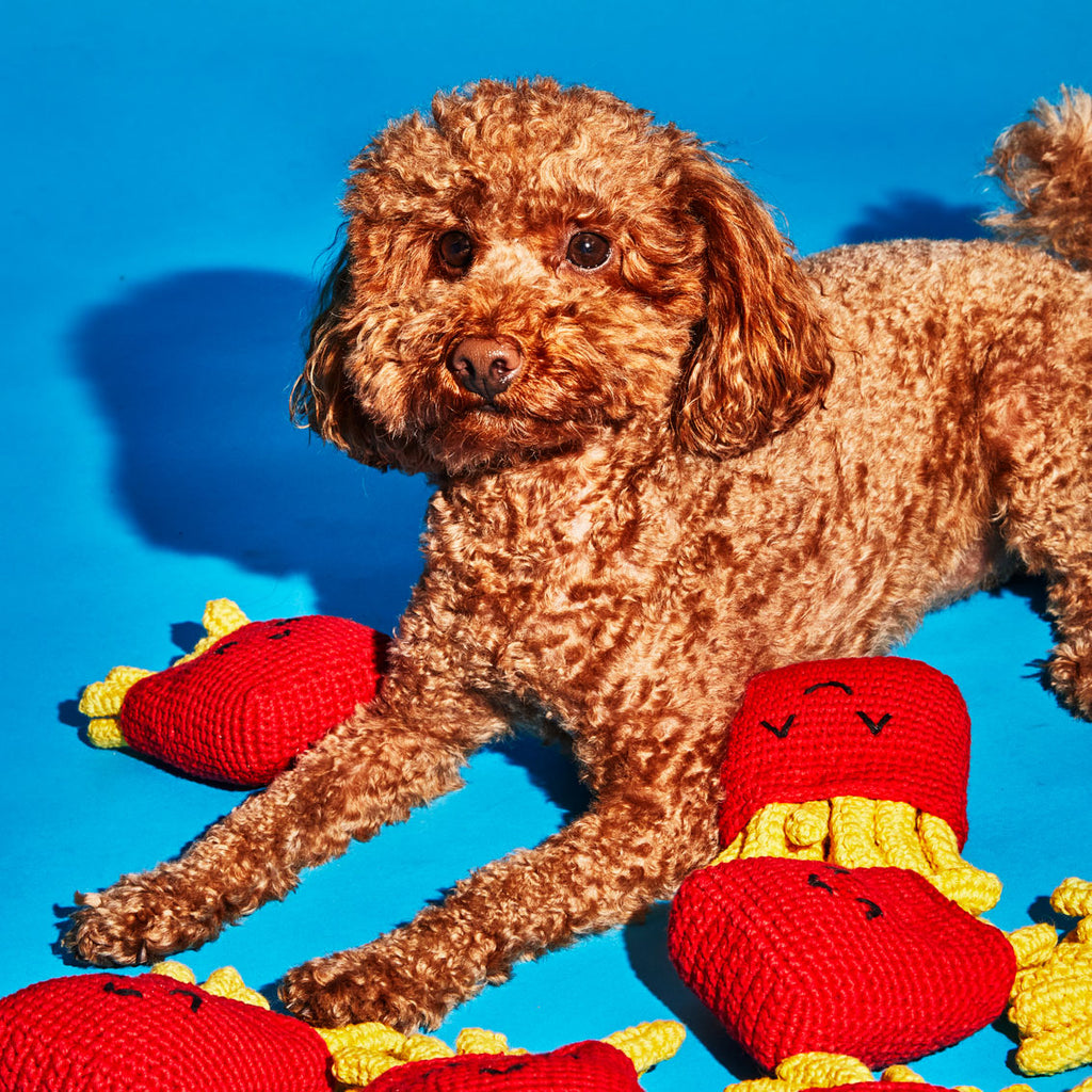 Dog with cotton crochet hand knit french fries dog toy