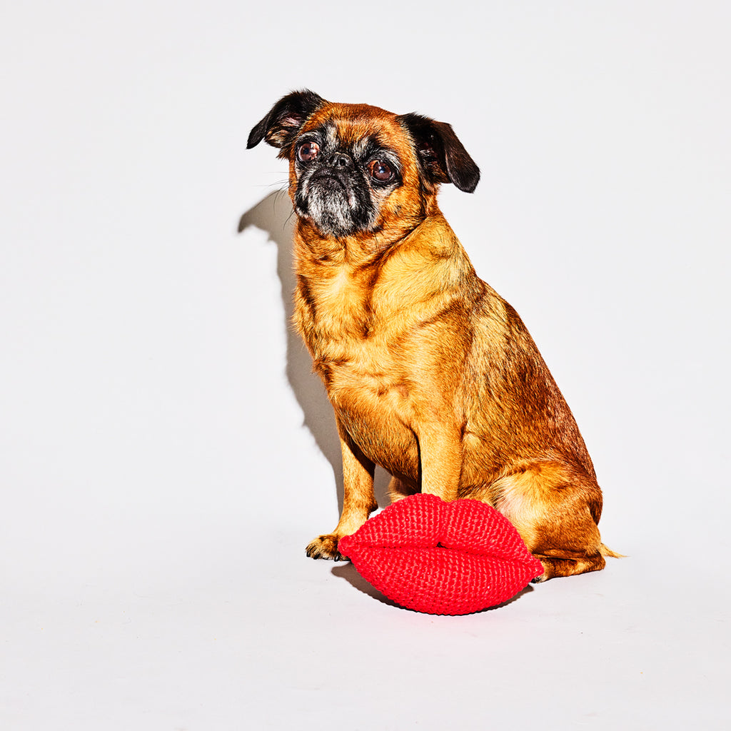 Dog with Cotton Crochet Hand Knit Red Lips Dog Toy 