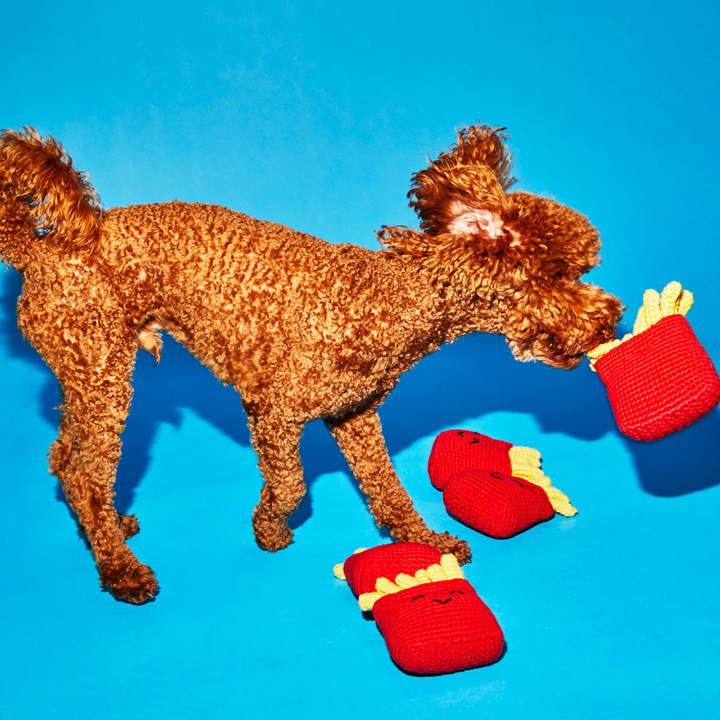 Dog playing with hand knit cotton crochet french fries dog toys