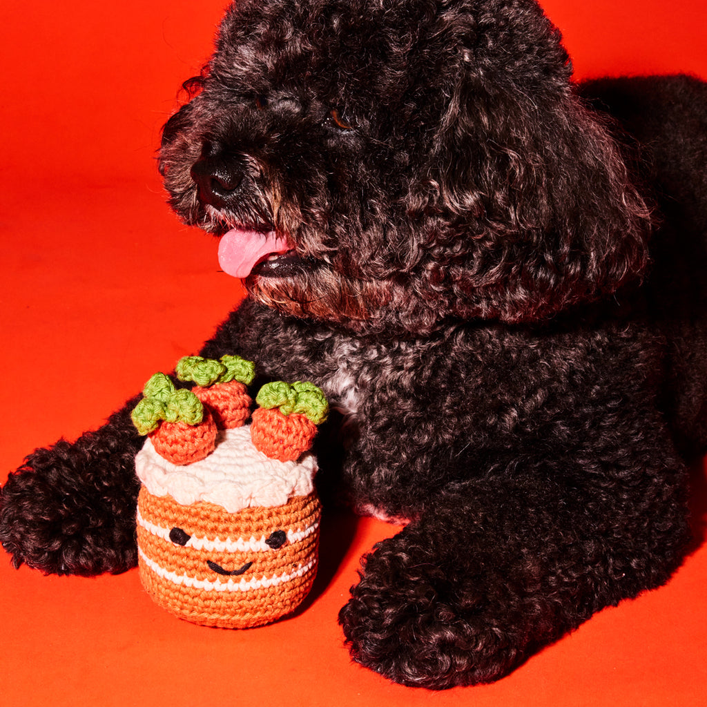 Black poodle with cotton crochet carrot cake dog toy