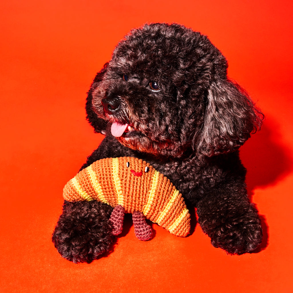 Black poodle with cotton crochet croissant dog toy