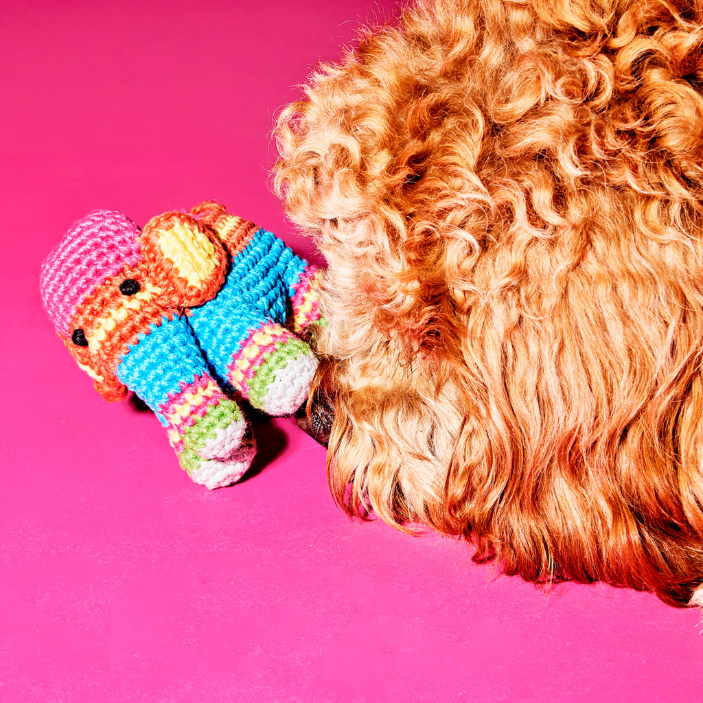 Dog playing with colorful striped cotton crochet elephant dog toy
