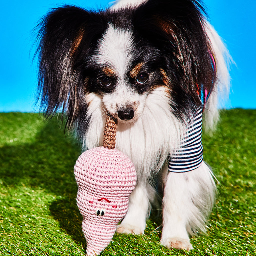 Dog playing with cotton candy dog toy