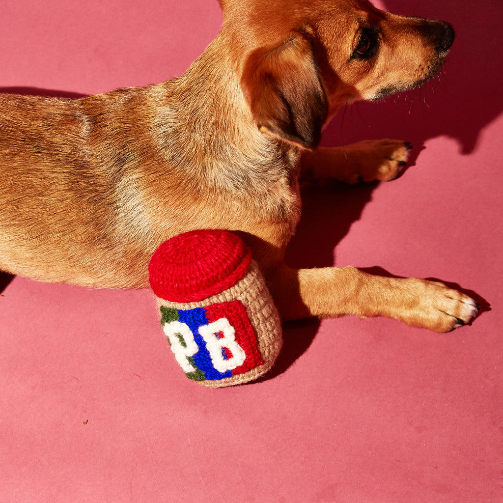Dog with hand knit peanut butter toy