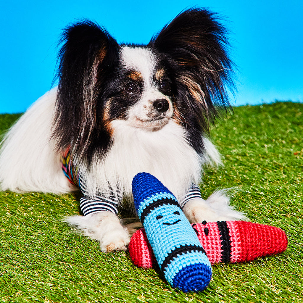 Dog with crochet crayon dog toys