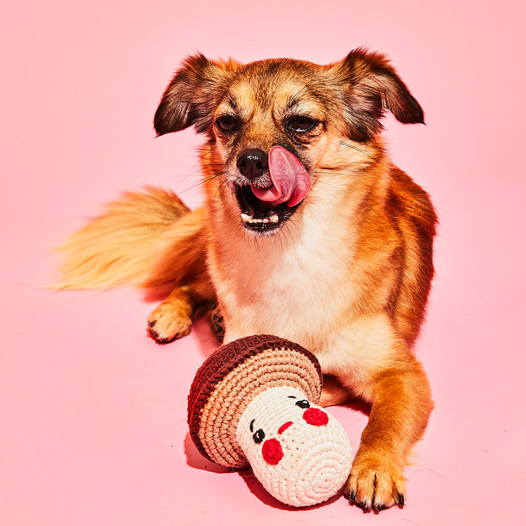 Dog with cotton crochet mushroom dog toy