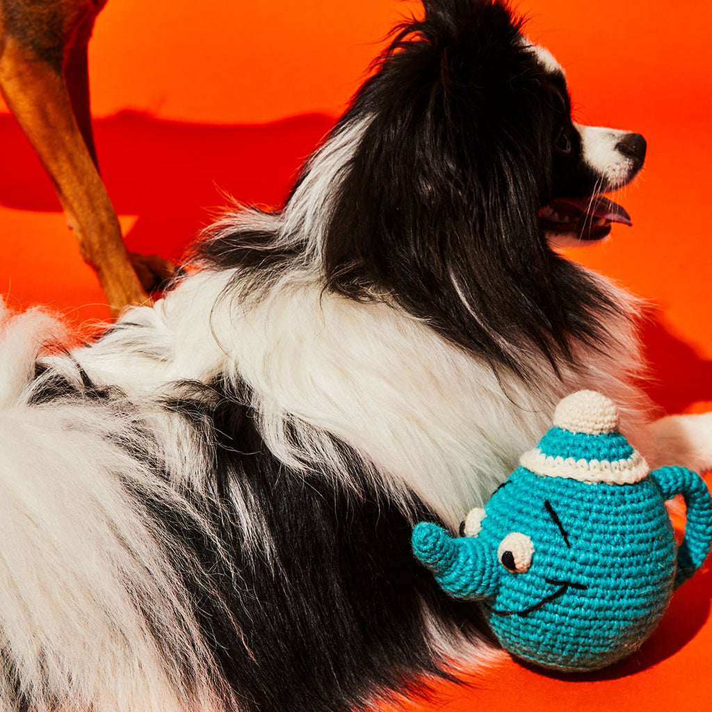 Dog with blue crochet teapot dog toy