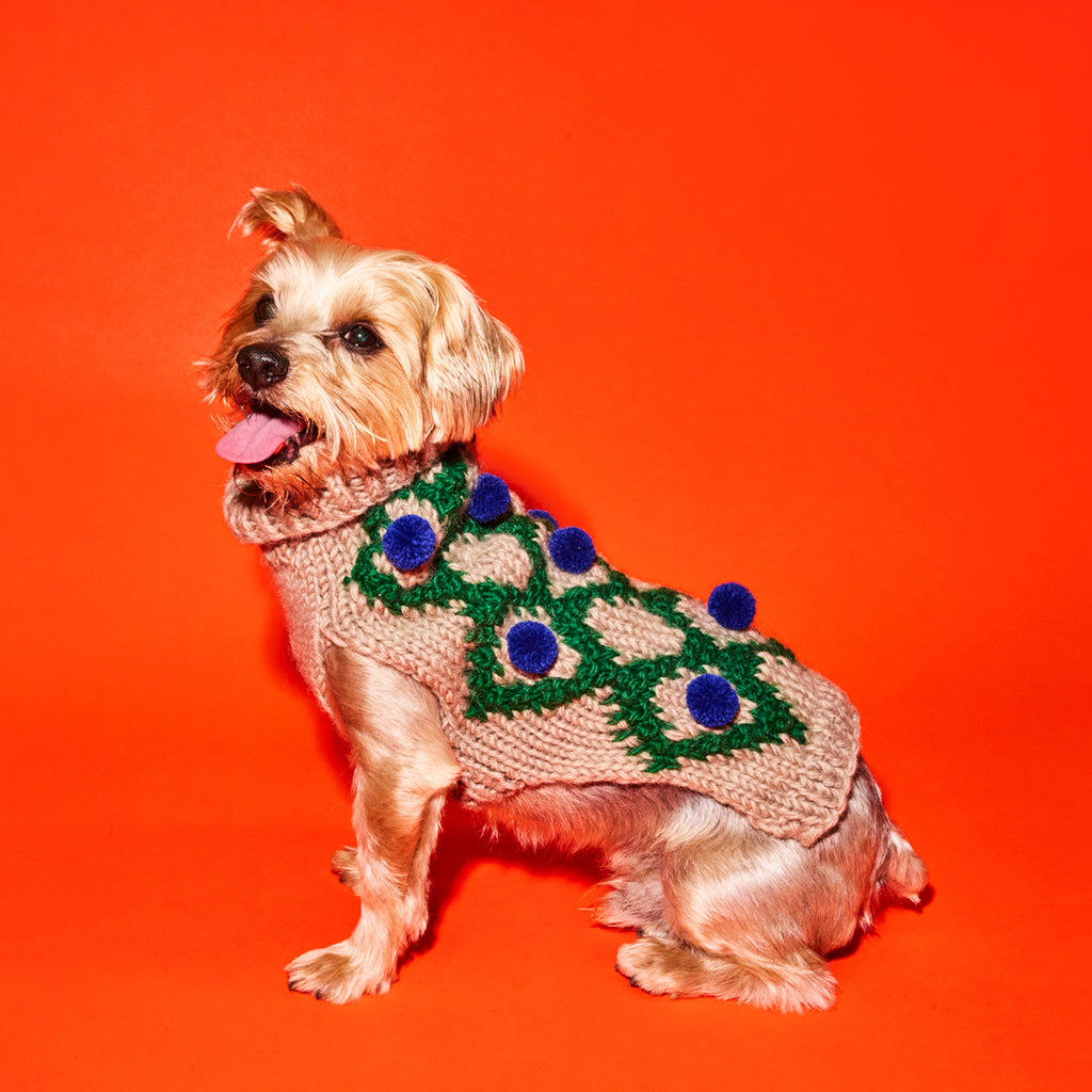 Green and blue pom pom hand knit dog sweater on beige dog