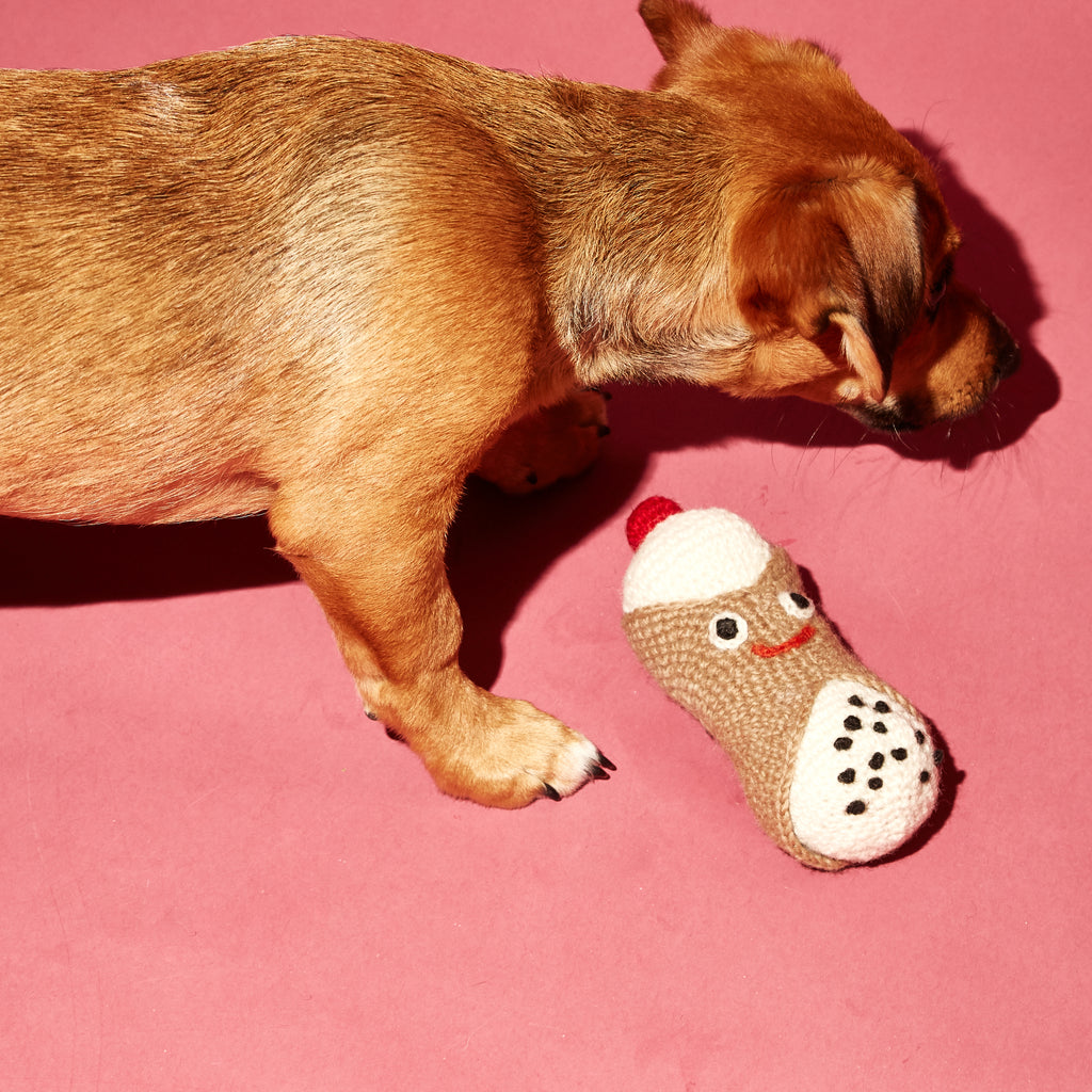 Dog playing with hand knit cannoli dog toy