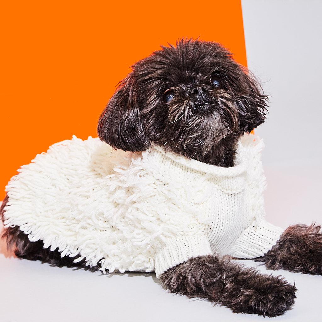 Dog wearing ivory hairy dog sweater