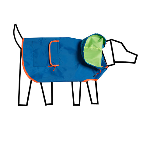 Neon colorblock Dog Raincoat