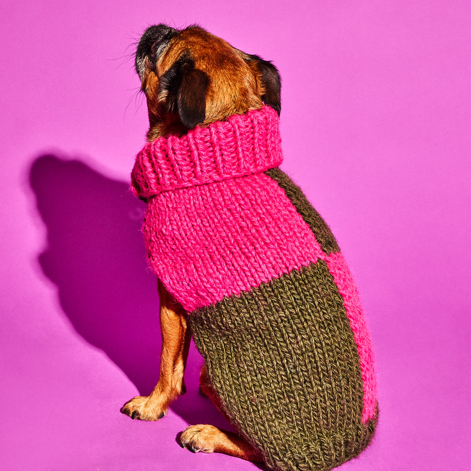 Olive and Pink Checkered Wool Hand Knit Turtleneck Dog Sweater on a dog