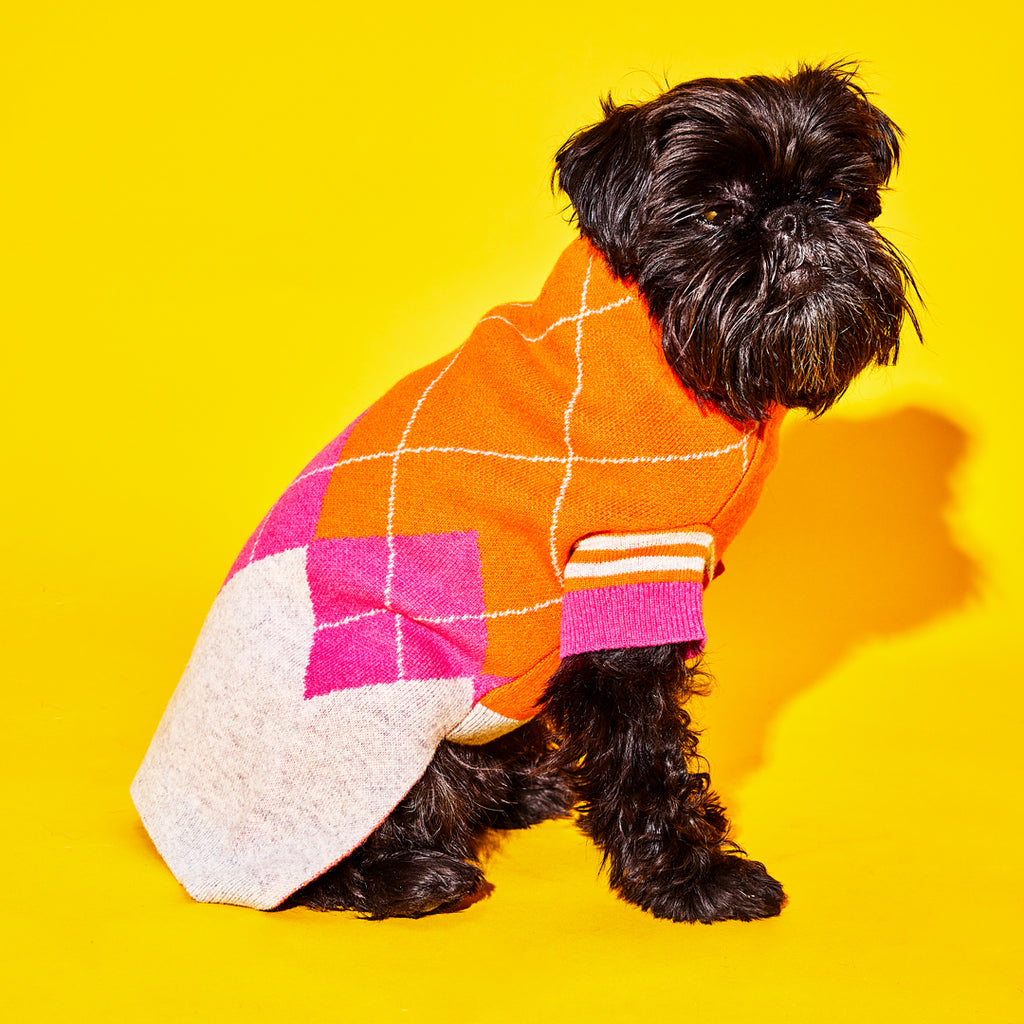 Orange and Pink argyle wool dog sweater on a dog