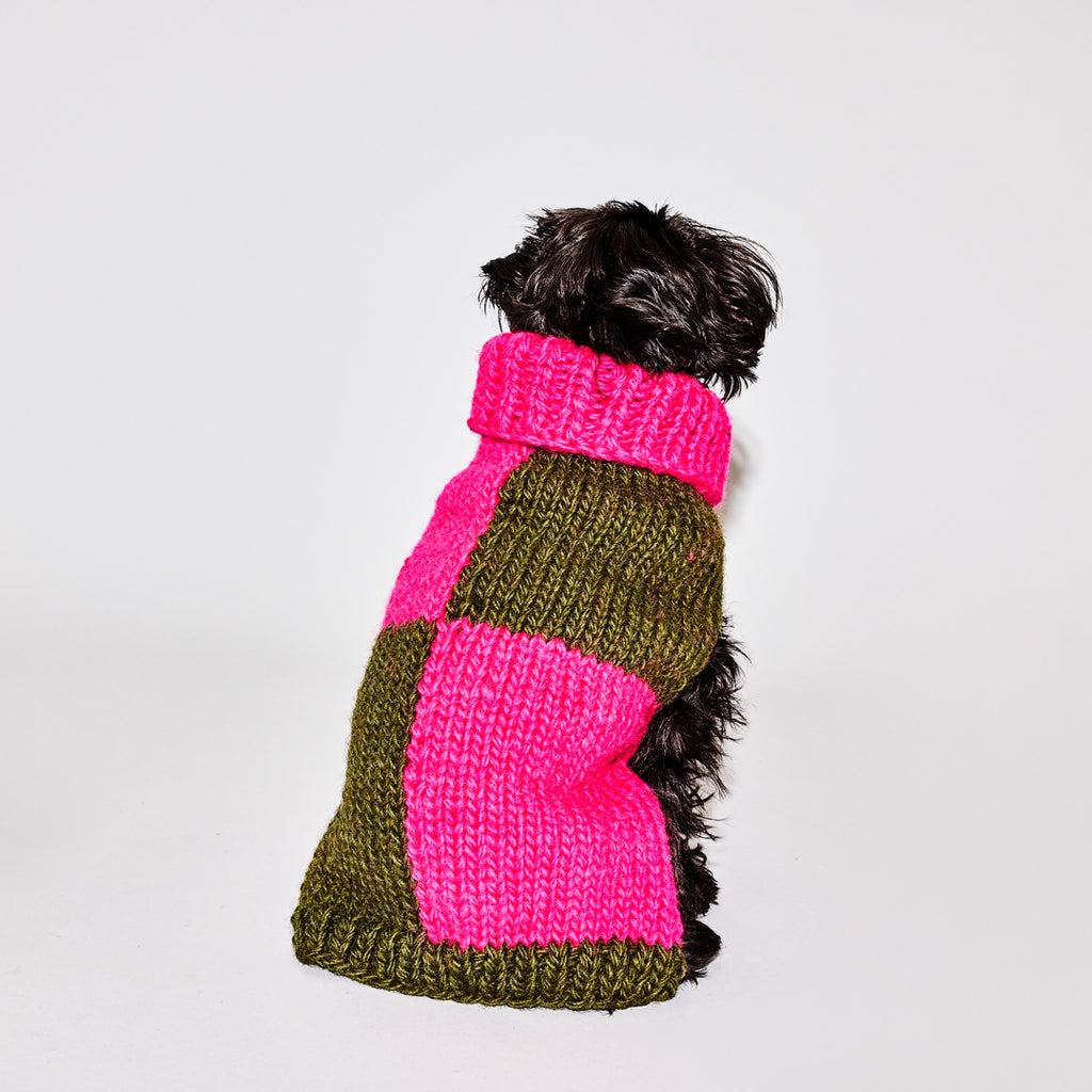 Olive and Pink Checkered Hand knit wool turtleneck dog sweater on a dog