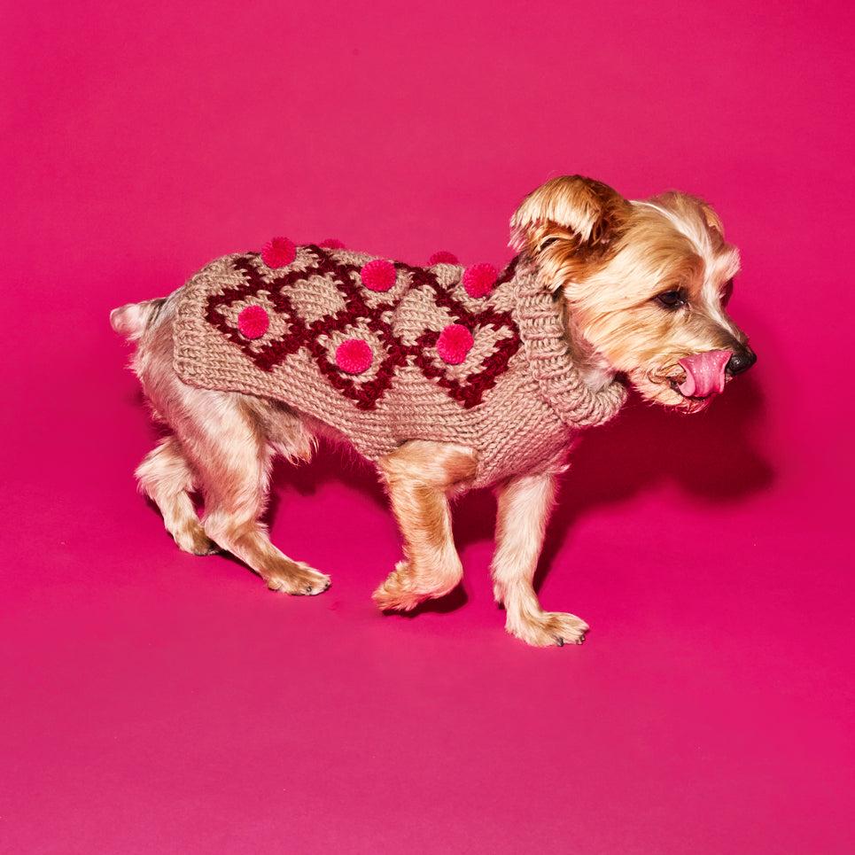 Beige dog wearing burgandy and pink pom pom hand knit dog sweater