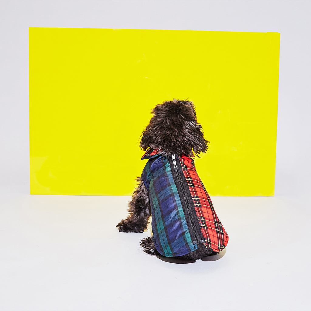 Dog wearing two tone plaid dog puffer jacket 