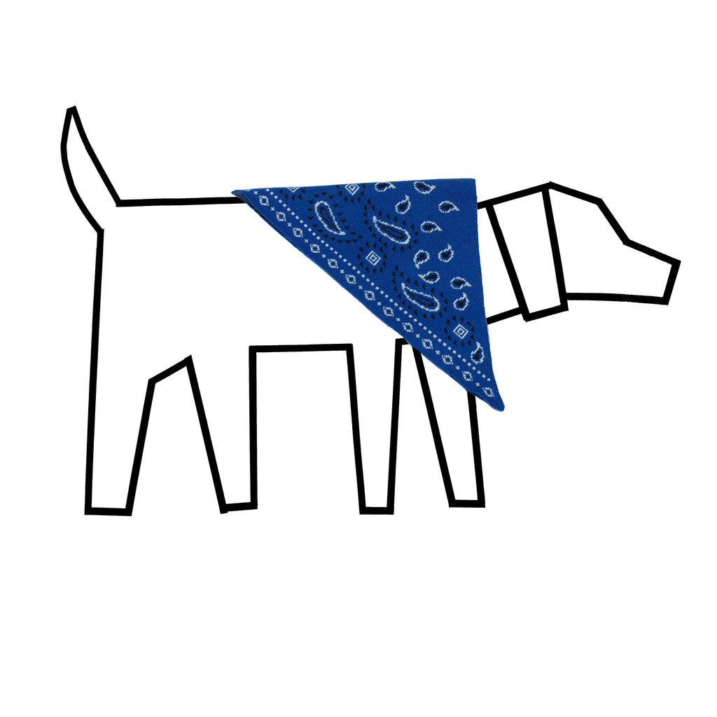 Royal Blue Wool Knit Bandana Print Dog Bandana