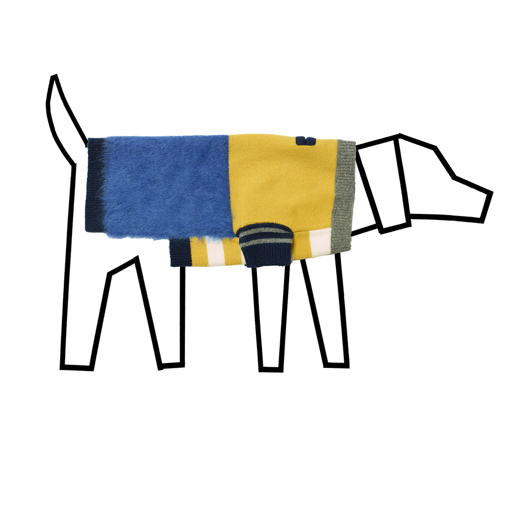 Gold with Blue hairy striped dog sweater