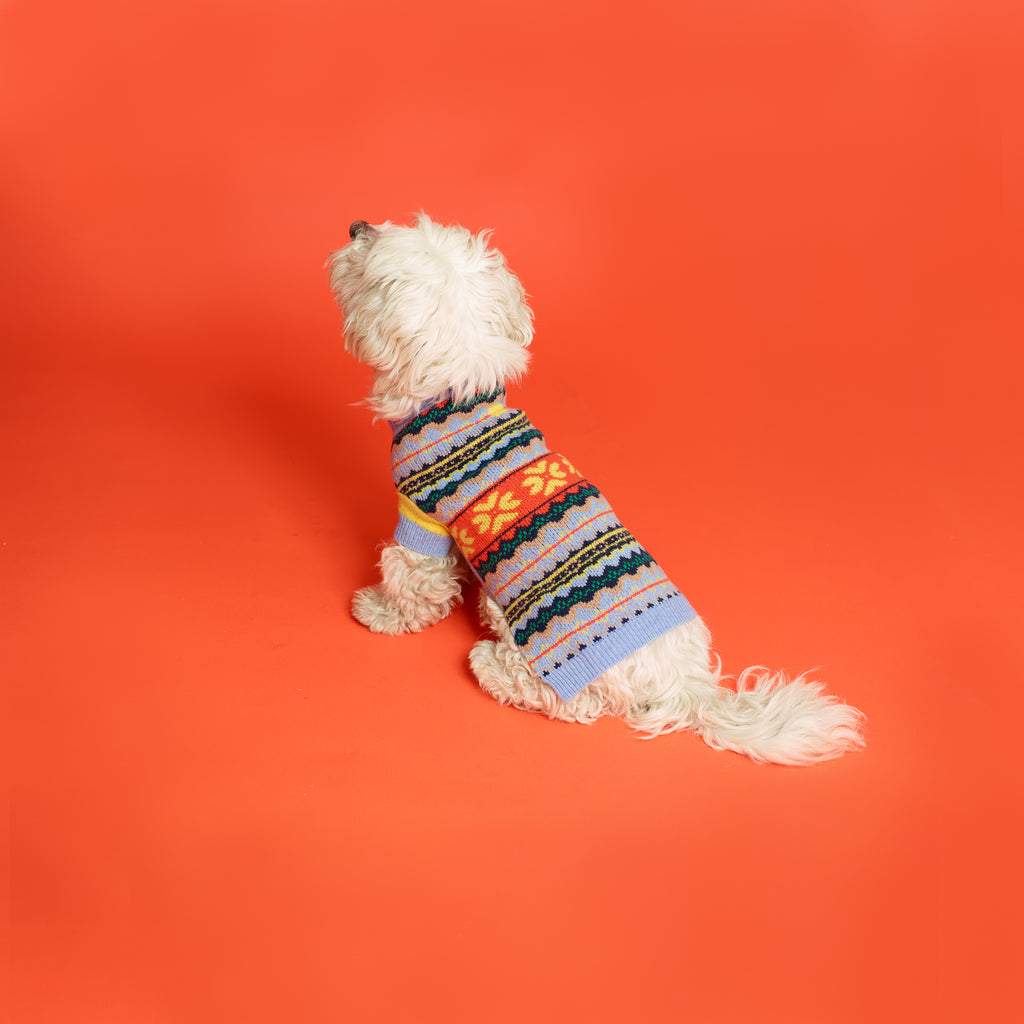 Dog wearing blue fairisle wool dog sweater