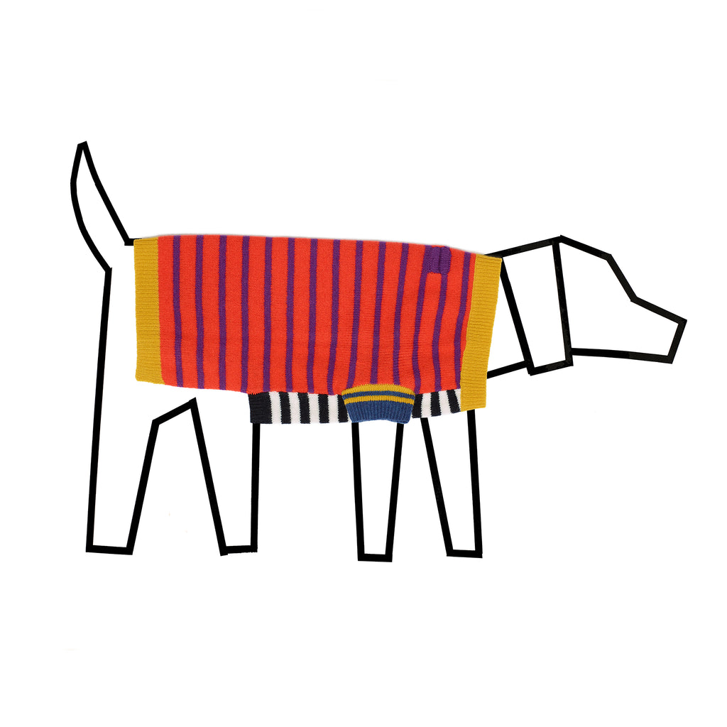 Orange and purple striped wool dog sweater