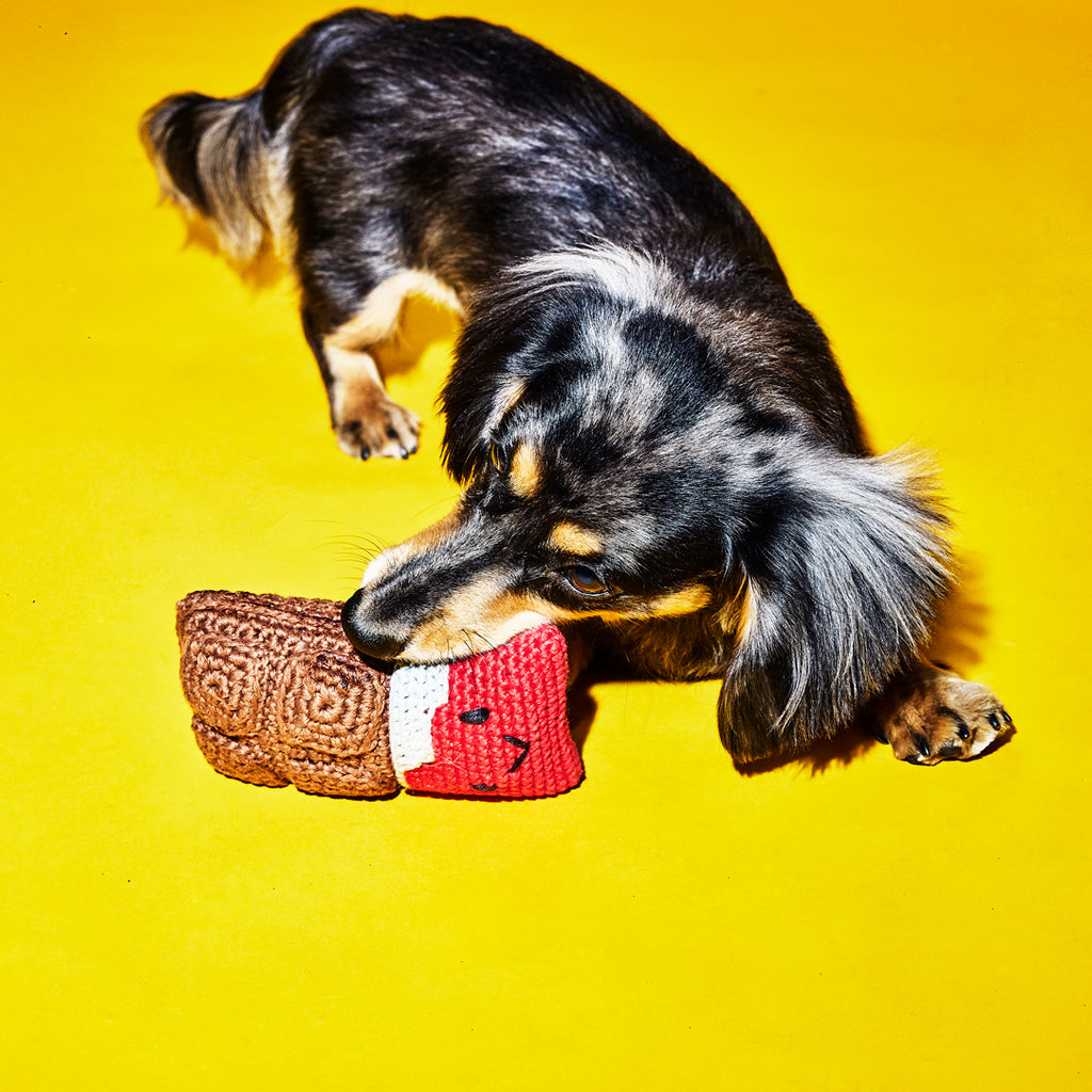 Dog playing with a Cotton Crochet Hand knit Fair trade Chocolate Bar Dog Toy