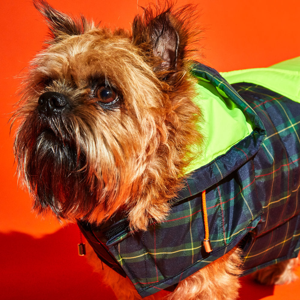 Plaid/ Neon Yellow Nylon Puffer Jacket – Ware of the Dog
