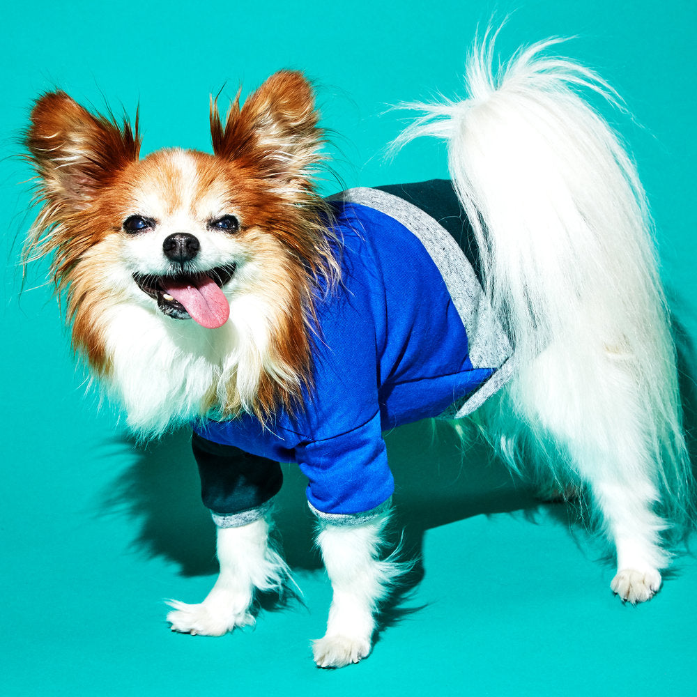 Blue/Green Diagonal Stripe T-Shirt – Ware of the Dog
