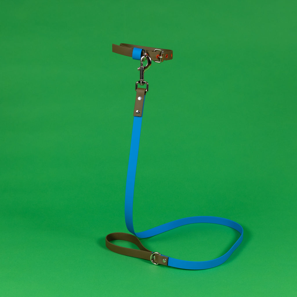 Ware of the Dog Blue/Olive Biothane Leash and Collar