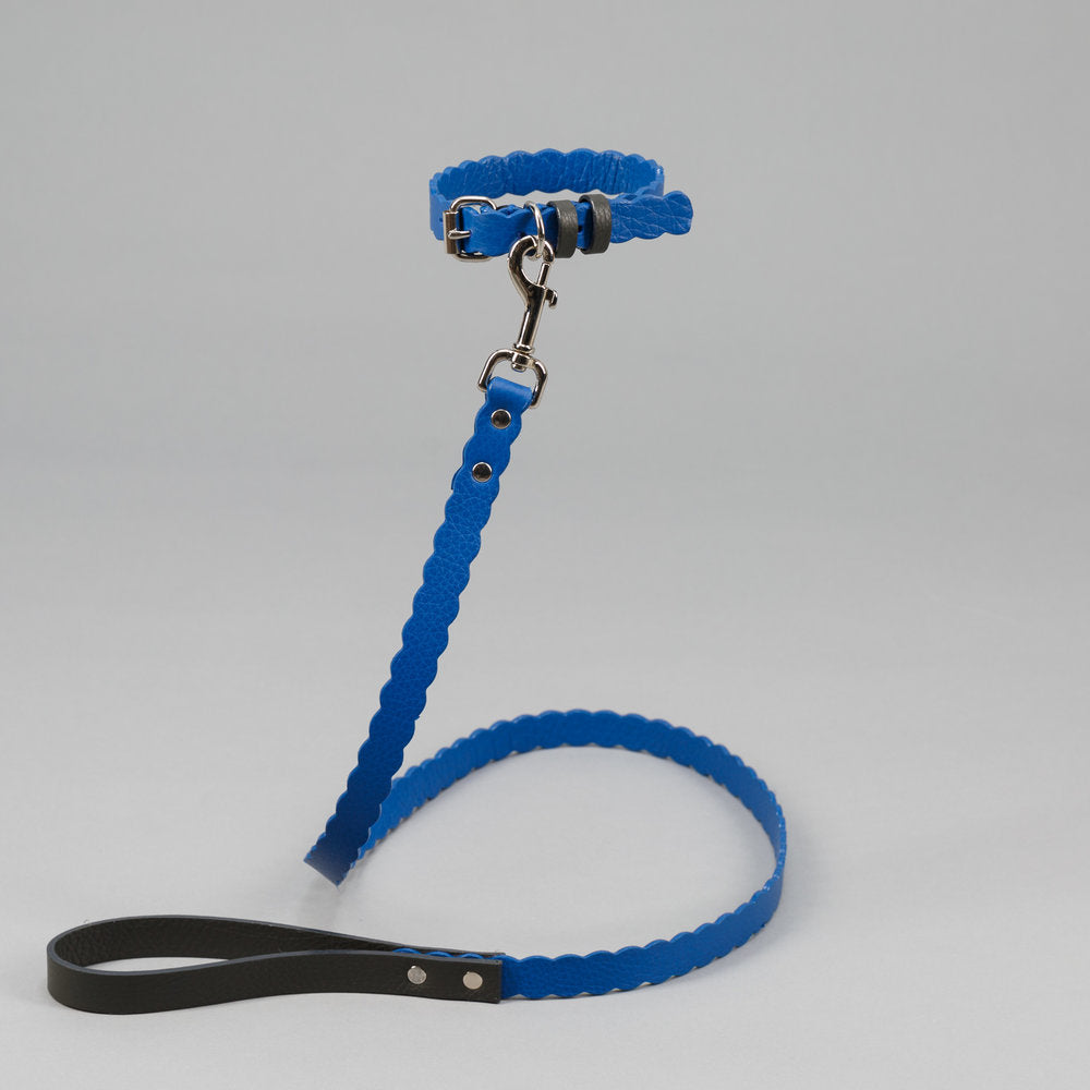 Ware of the Dog Blue /Grey Scalloped Leather Leash and Collar