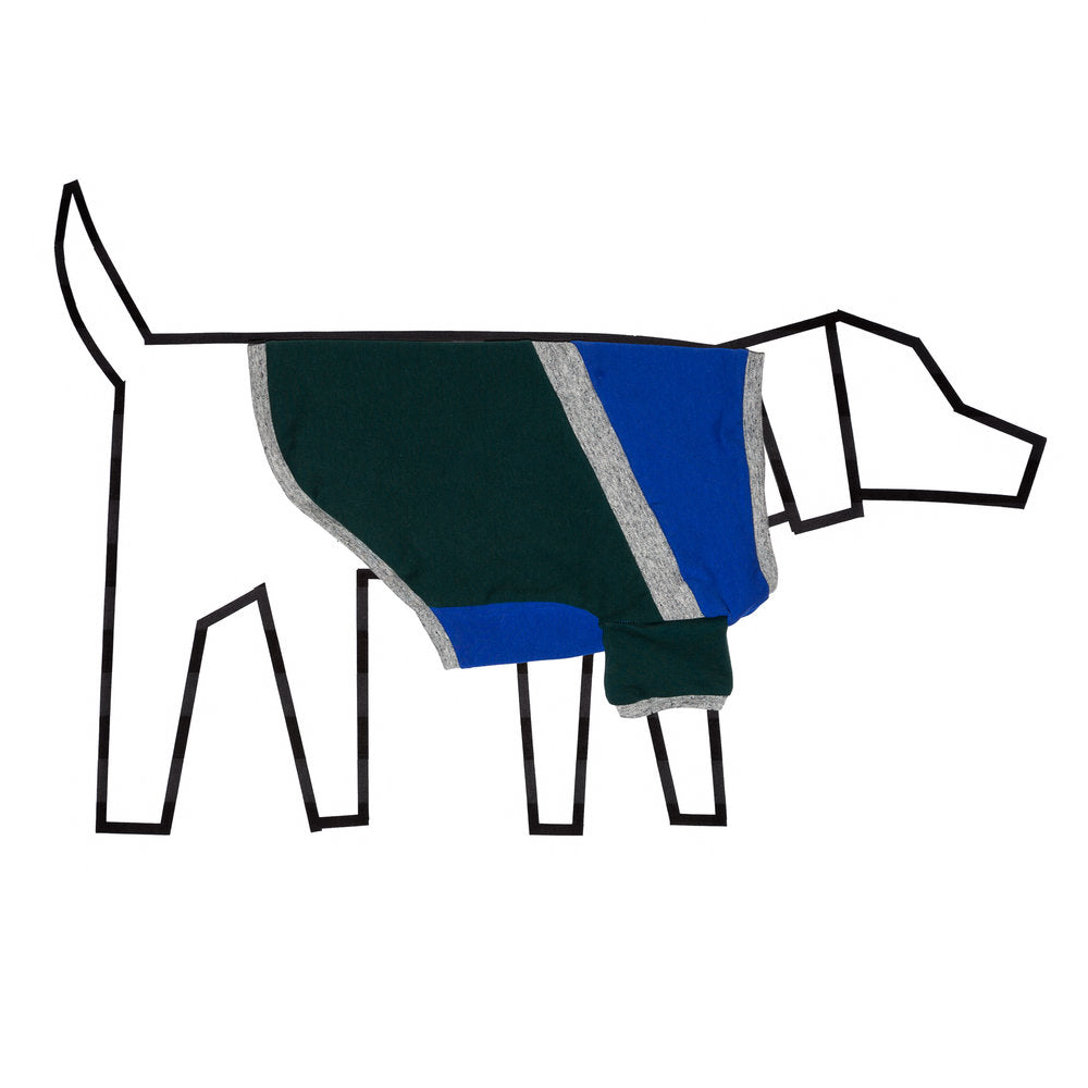 Ware of the Dog Blue/Green Diagonal Stripe T Shirt