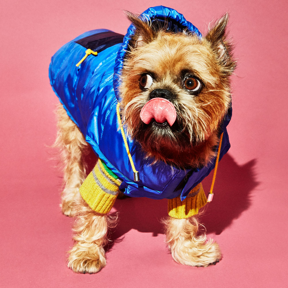 Royal/Navy Colorblock Nylon Puffer Jacket – Ware of the Dog