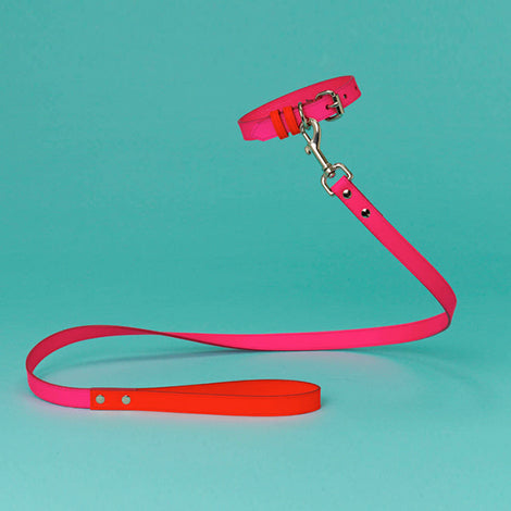 Ware of the Dog Pink/Orange Leather Leash & Collar