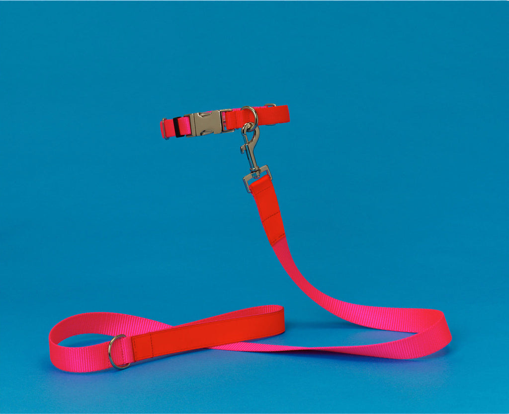 Ware of the Dog Neon Pink/Orange Nylon Leash and Collar