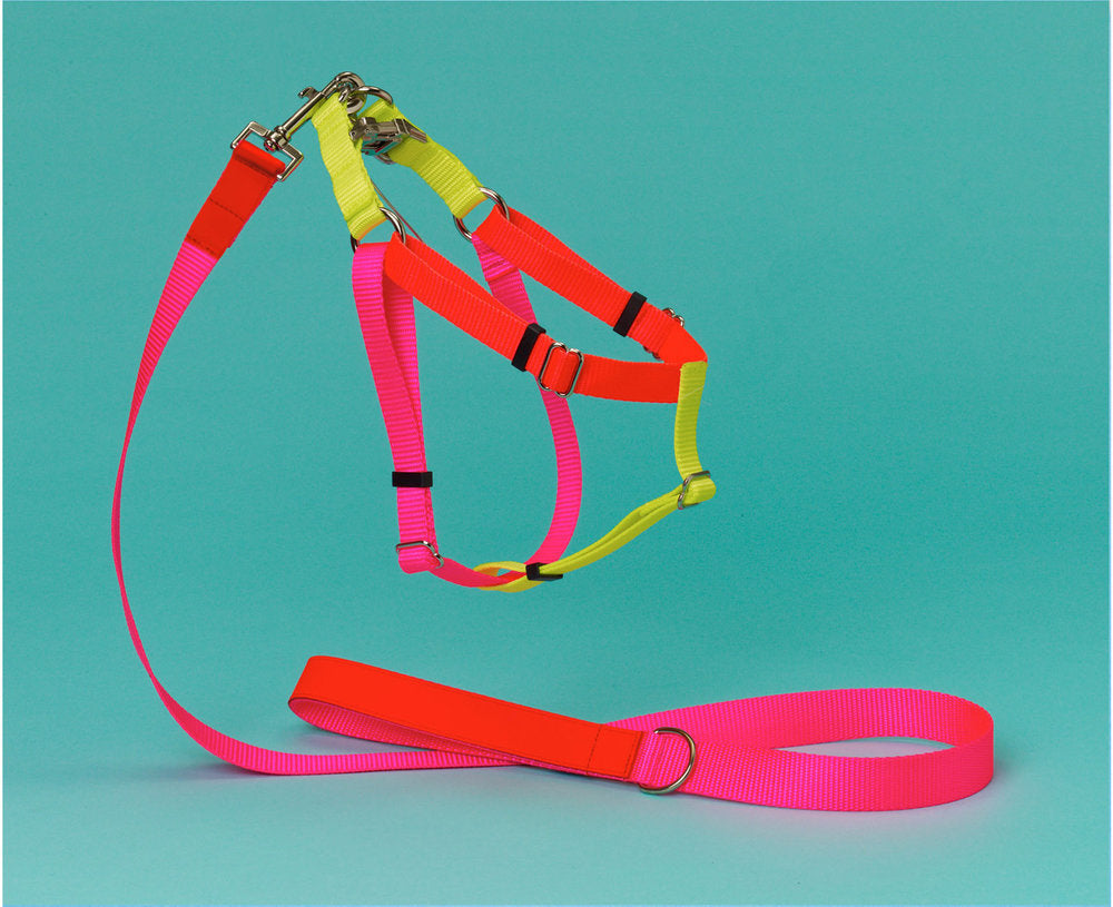 NYLON COLOR BLOCK HARNESS PINK/ORANGE/YELLOW, DOG HARNESSES – Ware of ...