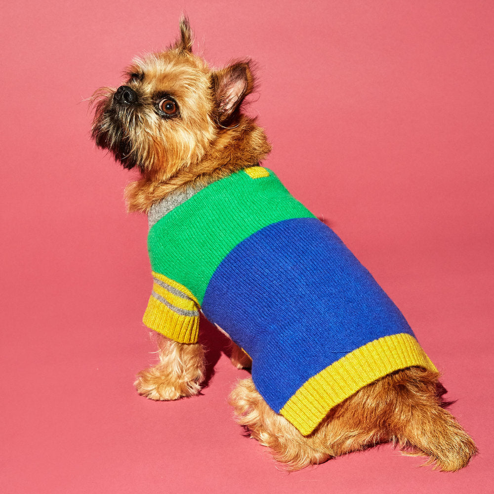 Crazy Stripe, Wool Dog Sweaters – Ware of the Dog